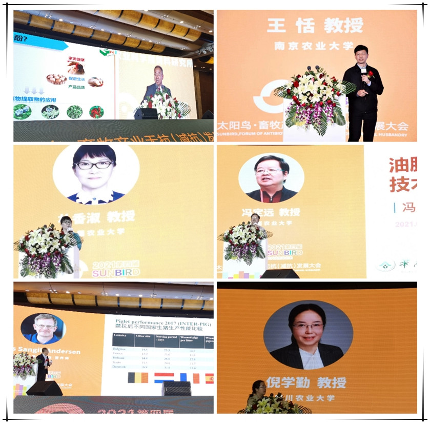 微信图片_20210417144124_副本333.jpg 图片