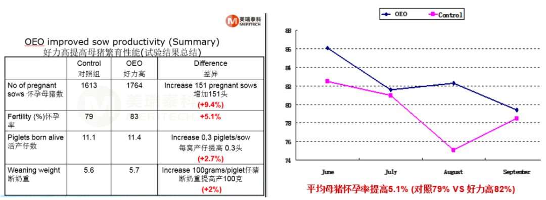 1.png 图片