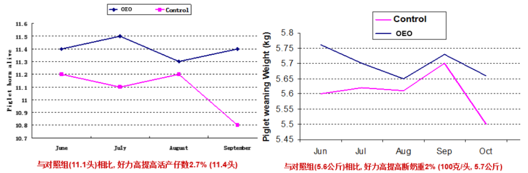 2.png 图片