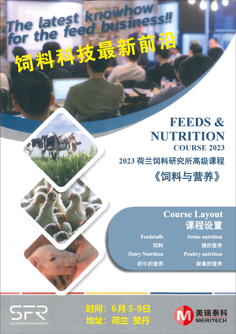 荷兰学习1_副本.jpg 图片