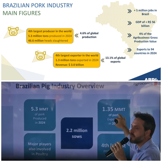 图片2_副本.jpg 图片